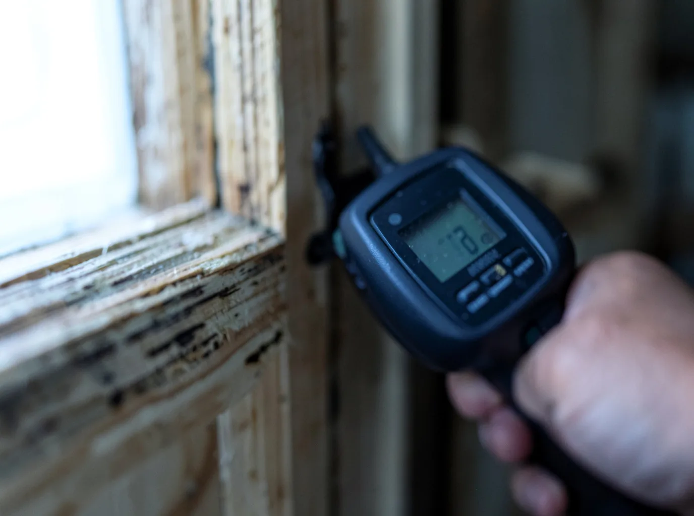 Moisture Inspection And Documentation in Herminie, PA